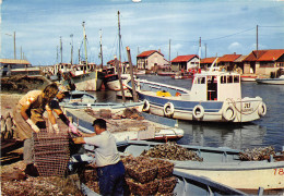 Delcampe - 17-LA TREMBLADE-N°T203-A/0175 - La Tremblade