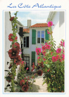 Delcampe - 40 VIEUX BOUCAU LES BAINS RUELLE FLEURIE - Vieux Boucau