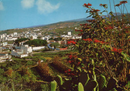 Delcampe - España Icod De Los Vinos Tenerife Canarias Vista Panorámica Del Pueblo #PAB734.A - Tenerife