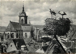 Delcampe - Carte Postale - 68 - Colmar - Nid De Cigognes Avec Vue Sur La Cathédrale - Mention Photographie Véritable - CPSM Grand F - Colmar
