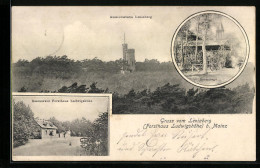 Delcampe - AK Mainz, Restauration Forsthaus Ludwigshöhe, Aussichtsturm Leniaberg, Eremitage - Jagd