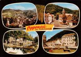 Delcampe - Oppenau Panorama Stauwehr Ortsansichten - Oppenau