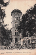 Delcampe - 92 LE PLESSIS ROBINSON LA TOUR DU CHATEAU - Le Plessis Robinson