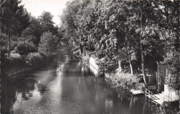 Delcampe - 51 SAINTE MENEHOULD VUE SUR L AISNE - Sainte-Menehould