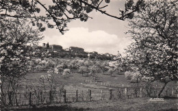 Delcampe - 52 LANGRES VUE PANORAMIQUE - Langres