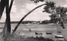 Delcampe - 29 BENODET SUR L ODET - Bénodet