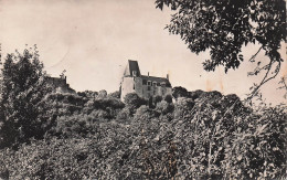 Delcampe - 53 SAINTE SUZANNE LE CHATEAU - Sainte Suzanne