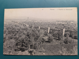 Delcampe - CPA Tlemcen Enceinte De Mansourah Panorama Remparts Minaret Algérie - Tlemcen