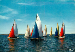 Delcampe - VOILIERS REGATES - Segelboote