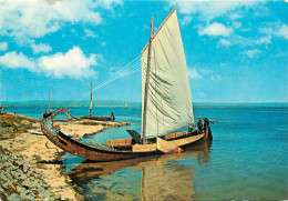 Delcampe - VOILIER RIA DE AVEIRO Portugal - Segelboote