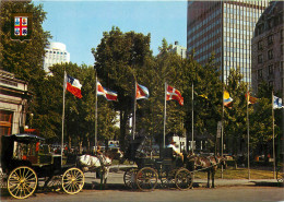 Delcampe - MONTREAL QUEBEC ATTELAGE - Montreal