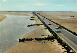 Delcampe - AUTOMOBILES ILE DE NOIRMOUTIER - PKW