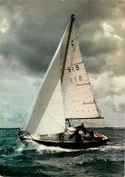 Delcampe - VOILIER - Segelboote