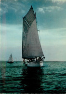Delcampe - VOILIER EN BRETAGNE - Segelboote