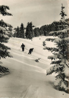 Delcampe - SPORT SKI - Wintersport