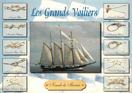 Delcampe - THEME BATEAU LES GRANDS VOILIERS - Segelboote