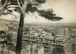 Delcampe - ALGERIE ALGER LE HAMMA - Algerien