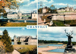 Delcampe - 60 CHANTILLY MULTIVUES - Chantilly