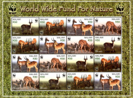 Delcampe - MALAWI 2003-W.W.F.-Puku Kobus Vardonii-feuillet 4x4 - Ungebraucht