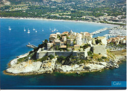 Delcampe - Corse Calvi - Calvi