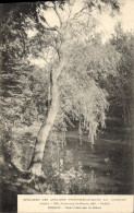 Delcampe - CPA Arbre Specimen Des Ateliers Photomecaniques DA Longuet Paris Faubourg Saint Martin - Sonstige & Ohne Zuordnung