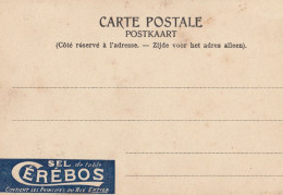 Delcampe - Sel De Table Cerebos Antique Spanish Salt Advertising Postcard - Werbepostkarten