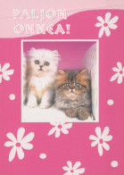Delcampe - Charming Cat Postcard Unposted #PBC371.A - Katzen