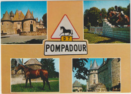 Delcampe - Pompadour - Premier Centre Hippique - Arnac Pompadour