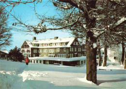 Delcampe - Schmallenberg Hochsauerlandkreis NRW Jagdhaus Wiese Hotel Pension - Schmallenberg