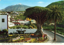 Delcampe - Icod De Los Vinos Tenerife Islas Canarias ES Blick Zum Teide Vulkan - Sonstige & Ohne Zuordnung