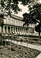 Delcampe - Merseburg Saale Sachsen-Anhalt Schlossgartenpavillon Barockpavillon Saeulenhalle - Merseburg