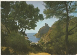 Delcampe - LA CIOTAT -  CPSM : La Belle Calanque De Figuerolles - La Ciotat