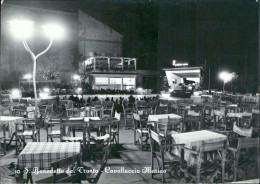 Delcampe - Ah355 Cartolina S.benedetto Del Tronto Cavalluccio Marino Provincia Di Ascoli - Ascoli Piceno