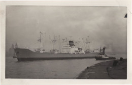 Delcampe - Sistina Cargo Ship New Zealand Route Vintage Rare Photo - Handel