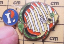 Delcampe - Pin512g2      MARQUE MAGASIN LECLERC-DELUNE POISSON TROPICAL - Trademarks