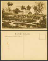 Delcampe - Barbados Old Postcard Erdiston A Private Residence Garden Gardens Palm Trees BWI - Barbados (Barbuda)