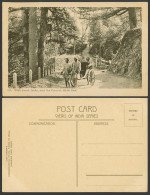 Delcampe - India Old Postcard Walk Round Jakko Near Convent, Simla East, Rickshaw & Coolies - Indien