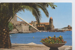 Delcampe - 66053 02 03 #9 - COLLIOURE - LE VIEUX PORT, L'EGLISE ET SON CLOCHER, AUTREFOIS TOUR DE PHARE - Collioure