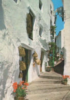 Delcampe - España Casares Andalucía Calle Típica Fachadas Blancas Arquitectura #PBD374.A - Almería