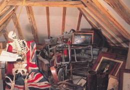 Delcampe - Sussex Buckleys Museum Skeleton Skull Rowntree Antique Cabinet Postcard - Kunsthandwerk
