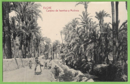 Delcampe - Elche - Camino De Huertos Y Molinos - Comunidad Valenciana - España - Alicante