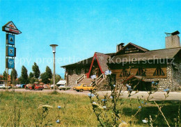 Delcampe - Hanul Surianul - Romania