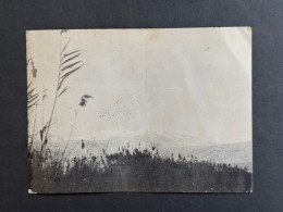 Delcampe - KIBBUTZ HULATA. JUDAICA HAPPY NEW YEAR POSTCARD ISRAEL - Israel