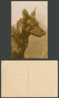 Delcampe - Belgian Shepherd Dog, France French Old Real Photo Postcard A. Noyer Paris 2175 - Chiens