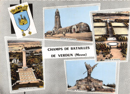Delcampe - 55-LES CHAMPS DE BATAILLE DE VERDUN-N°T244-D/0405 - Verdun