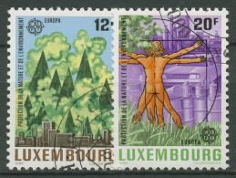 Delcampe - Luxemburg 1986 Europa CEPT Naturschutz Umweltschutz 1151/52 Gestempelt - Oblitérés