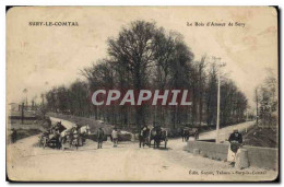 Delcampe - CPA Sury Le Comtal Le Bois D'Amour De Sury - Sury-près-Léré