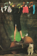Delcampe - Musical Washing Line Viola Dirty Laundry Dutch Bass Dog Comic Postcard - Humor