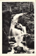 Delcampe - CPA Hohwald Bas Rhin La Cascade - Hohwald (Sachsen)