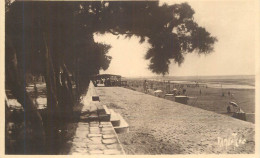Delcampe - A6230 Charente Maritime Châtelaillon-Plage Carte Foto Ramuntcho - Châtelaillon-Plage
